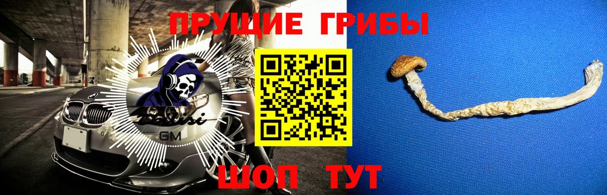 Псилоцибиновые грибы MAGIC MUSHROOMS Бузулук